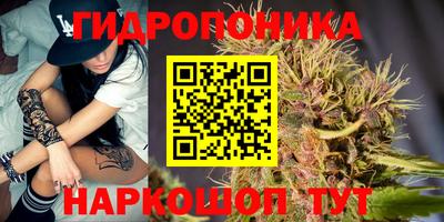 кокс Дубна