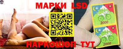 кокс Донецк
