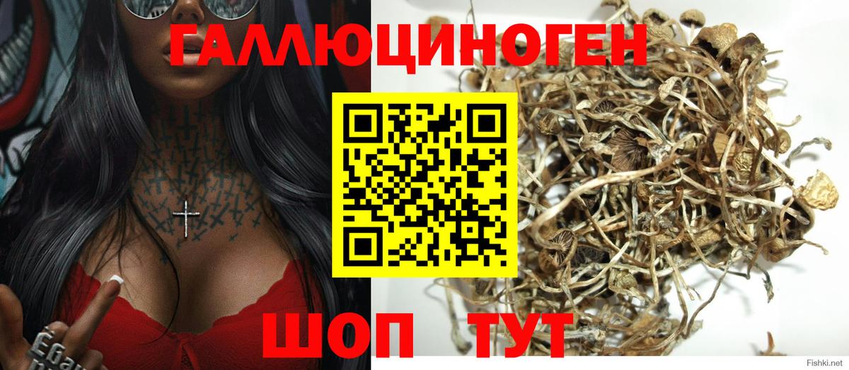 Минеральные Воды  Галлюциногенные грибы мухоморы  Вход с VPN  Псилоцибиновые грибы MAGIC MUSHROOMS 